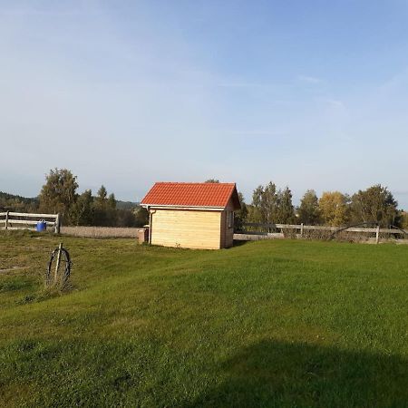 Frankenhaus Villa Hochstadt bei Thiersheim Kültér fotó